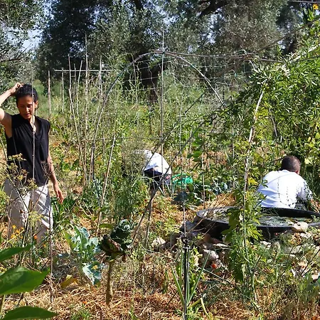 Mater Bed & Food-riserva Naturale Di Torre Guaceto Nocleg ze śniadaniem Serranova