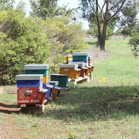 Mater Bed & Food-riserva Naturale Di Torre Guaceto Nocleg ze śniadaniem *