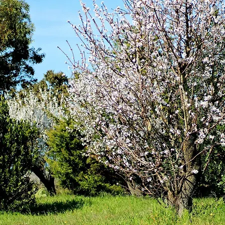 Mater Bed & Food-riserva Naturale Di Torre Guaceto Serranova