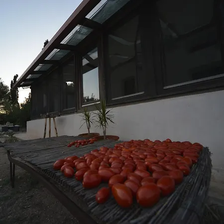 Mater Bed & Food-riserva Naturale Di Torre Guaceto Bed & Breakfast Serranova
